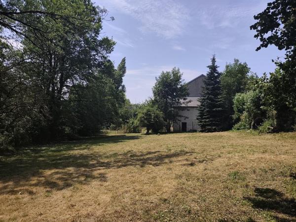 Vente / Terrain constructible à Anglès (81260)