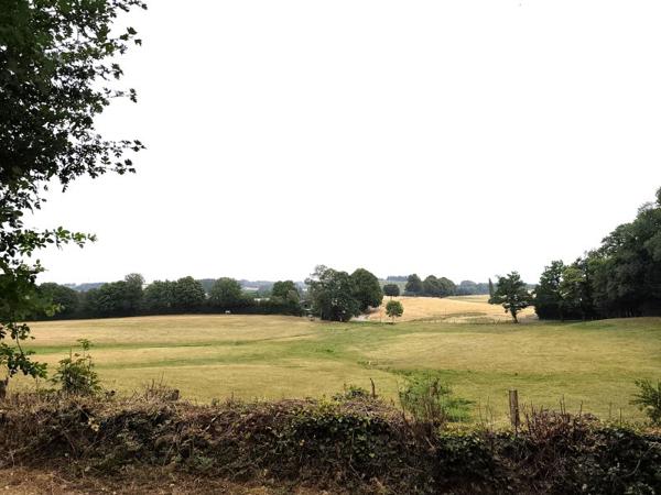 Vente / Terrain constructible à Anglès (81260)
