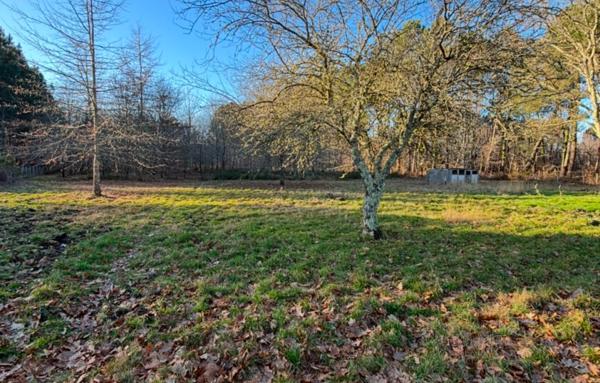 SOUS COMPROMIS Charmante Maison T5 sur 11 000 m2 de Terrain