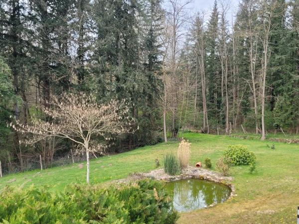 MEAULNE ( 03 ) Magnifique Propriété à vendre 10 pièces 365m2 Terrain 4179m2
