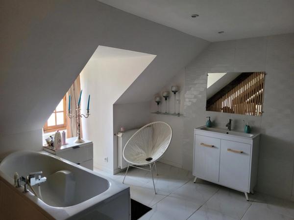 MEAULNE ( 03 ) Magnifique Propriété à vendre 10 pièces 365m2 Terrain 4179m2