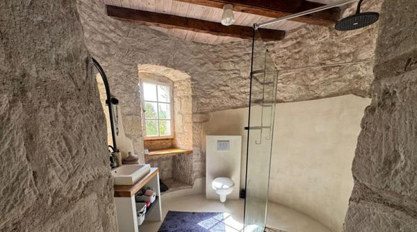 Château authentique du XIIIe siècle avec trois gîtes, piscine et 2 ha