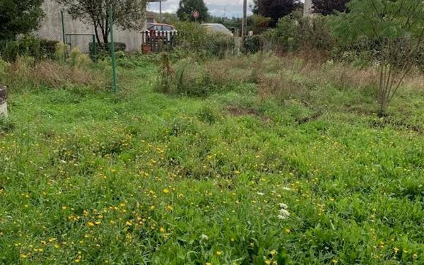 Maison à vendre    3 pièces •  Saint-Éloi