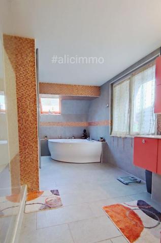 Ensemble immobilier Sézanne local + habitation