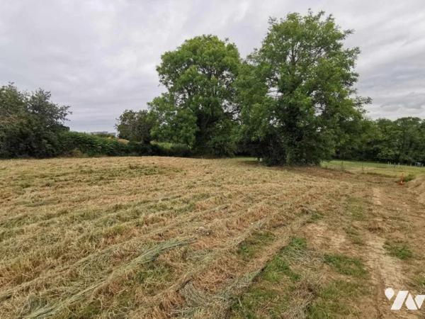 Terrain à bâtir - PERROS-GUIREC - 526 m² - 5