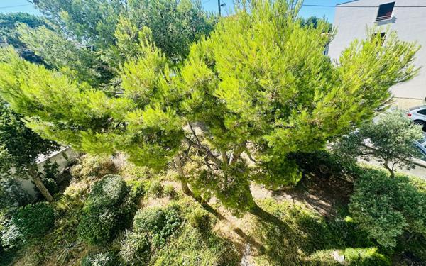 Appartement à vendre    3 pièces • 71,07 m2 Marseille 7