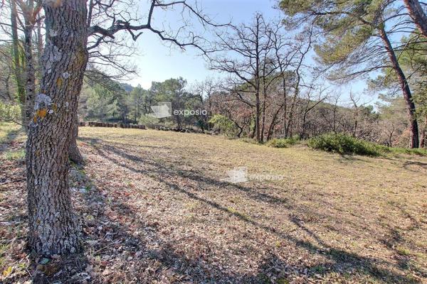 Aix-en-Provence (13090) Maison de charme 6 pièces avec 1,5 hectare de terrain – Cadre exceptionnel 15mn d’Aix-en-Provence