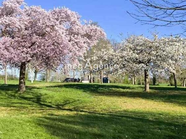 Maison à Martigné-sur-Mayenne, 53470 - 6 pièces 175m²