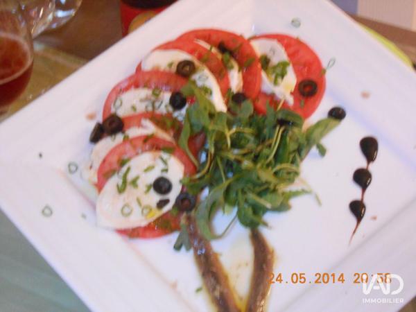 Hôtel-restaurant à vendre 450 m² Perpignan