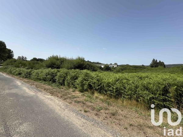 Terrain à vendre 19 141 m² Ussel