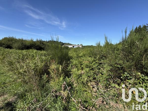 Terrain à vendre 19 141 m² Ussel