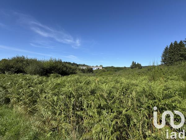 Terrain à vendre 19 141 m² Ussel