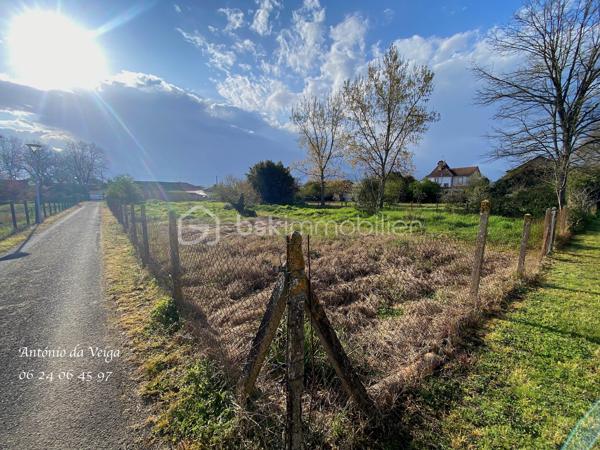 Terrain de 1 031 m²