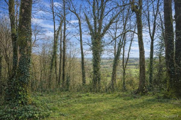Maison Le Mene Bel environnement