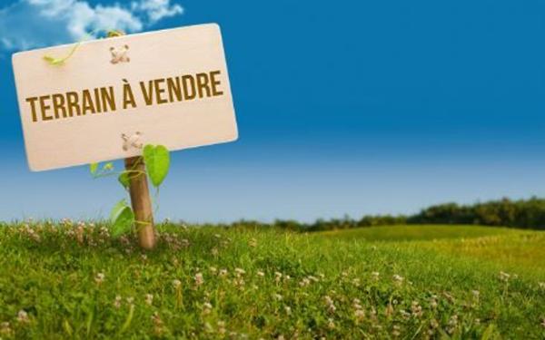 Terrain à vendre    Genlis