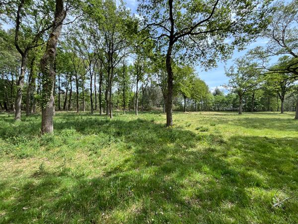 Terrain constructible en campagne et dans un environnement boisé !