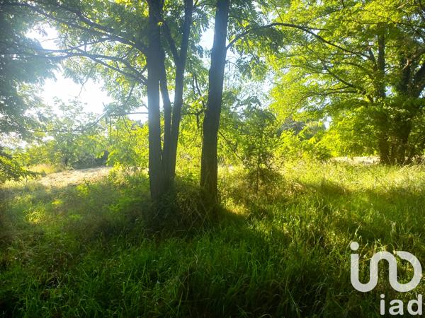 Immeuble à vendre 1 521 m² Pujols