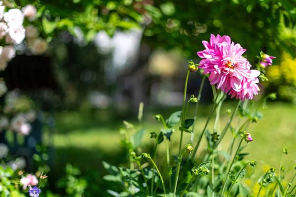 Un vrai bijou, à saisir dès maintenant !