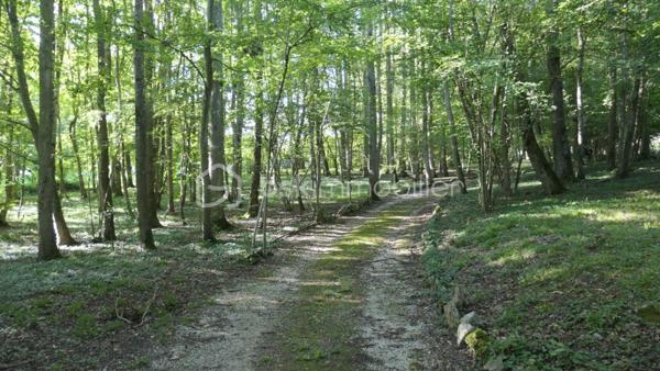 Maison contemporaine de 310 m²