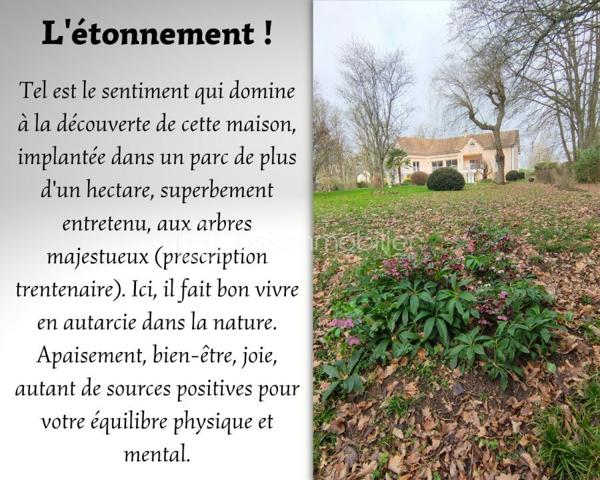 Maison contemporaine de 310 m²