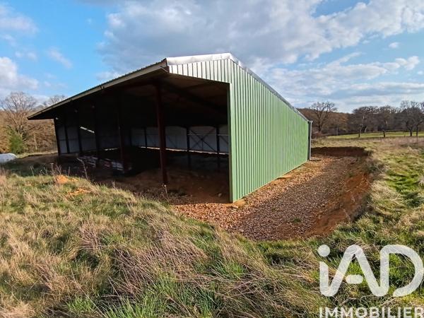 Terrain à vendre 11 588 m² Villiers-Saint-Benoît