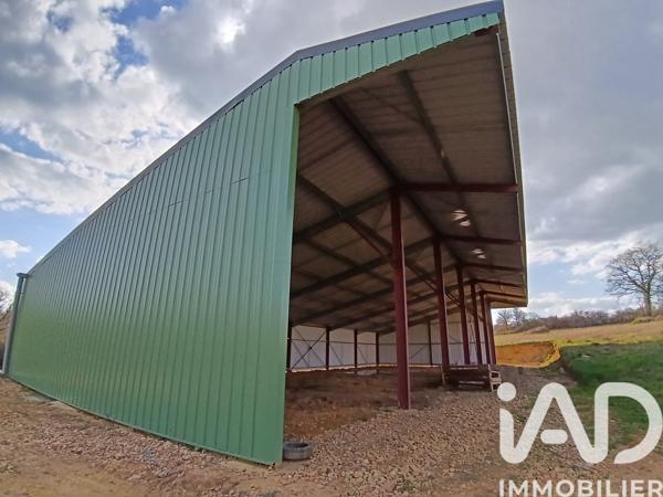 Terrain à vendre 11 588 m² Villiers-Saint-Benoît