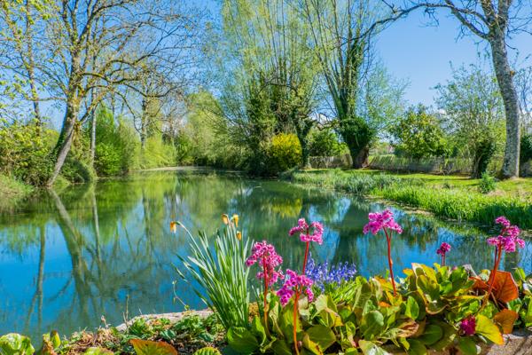 Moulin à vendre à Essay (61500) - Orne