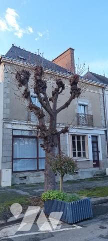 LA GUERCHE DE BGNE - Plein-centre - Vaste maison avec cour