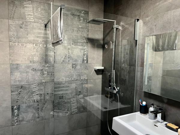 Très beau loft avec jardin proche de la place des Carmes