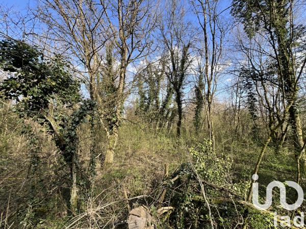 Terrain à vendre 300 m² Maidières