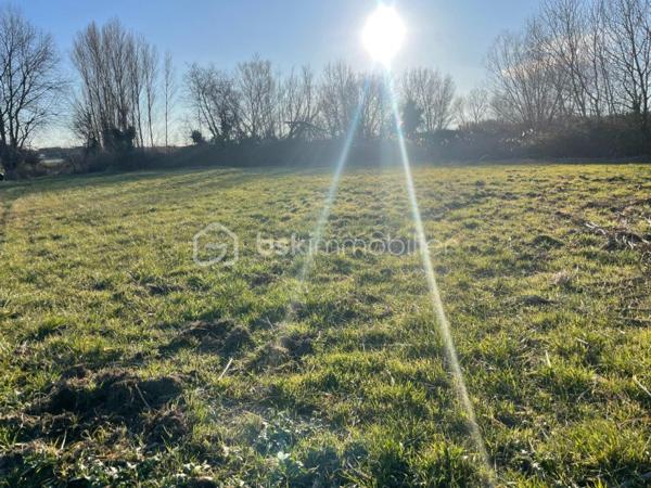 Terrain agricole de 1 546 m²