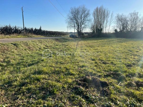 Terrain agricole de 1 546 m²