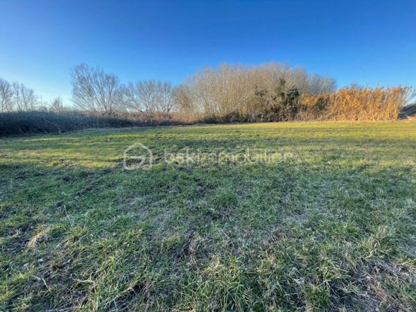 Terrain agricole de 1 546 m²