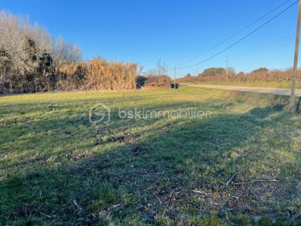 Terrain agricole de 1 546 m²
