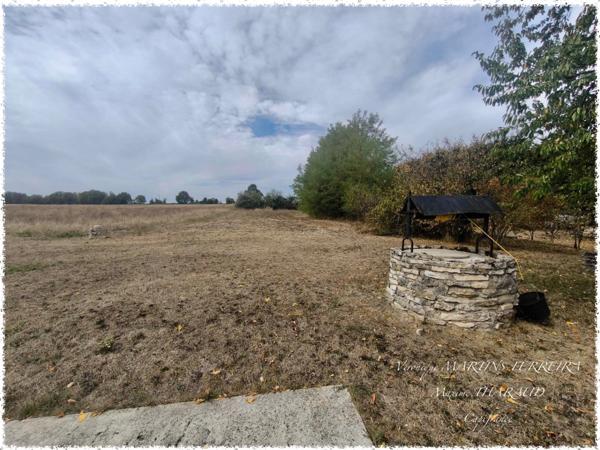 Maison à vendre 7 pièces avec jardin d'environ 1900 m2NEUILLY EN DUN (18)