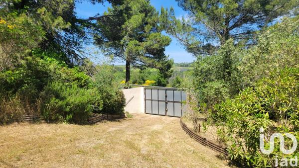 Terrain à vendre 1 484 m² Magalas