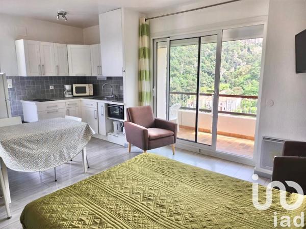 Appartement à vendre 1 pièce 27 m² Amélie-les-Bains-Palalda