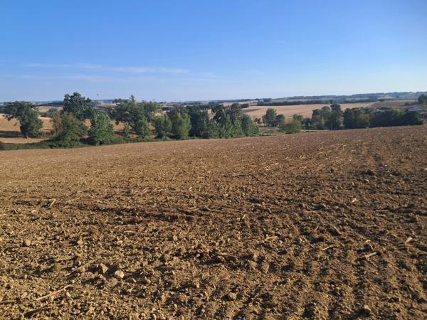 Terrain à vendre de 9403m2 PERGAIN TAILLAC (32)