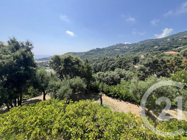 Maison à vendre  6 pièces - 220 m2 VILLE DI PIETRABUGNO - 202