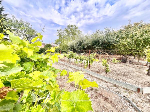 Maison à vendre 3 pièces BEAUVOIR SUR NIORT (79) 130 m² habitables sur 1 322 m² de terrain arboré, atelier et double garage