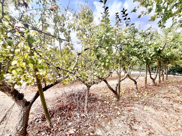 Maison à vendre 3 pièces BEAUVOIR SUR NIORT (79) 130 m² habitables sur 1 322 m² de terrain arboré, atelier et double garage