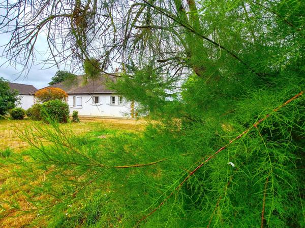 Maison de Plain-pied / 3 chambres / garage et son terrain de 9880m² à 2 minutes du centre !