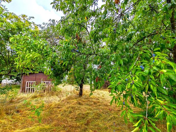 Maison de Plain-pied / 3 chambres / garage et son terrain de 9880m² à 2 minutes du centre !