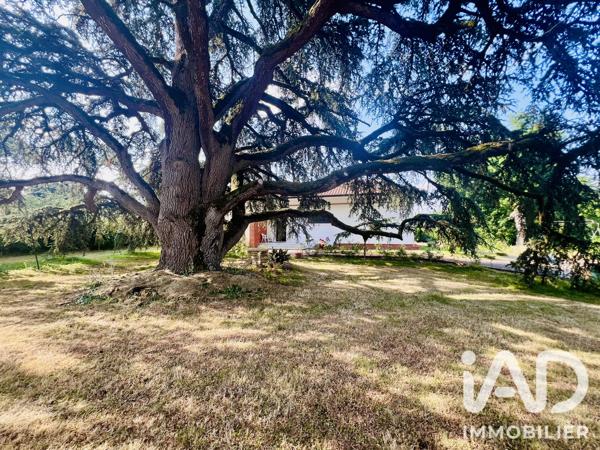 Maison à vendre 9 pièces 228 m² Pibrac