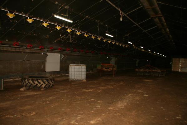 Vente Local industriel 2 pièces à Josselin