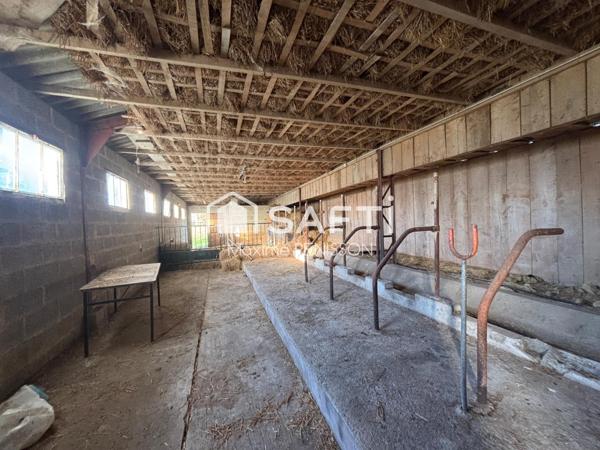 ? Coup de cœur assuré ?