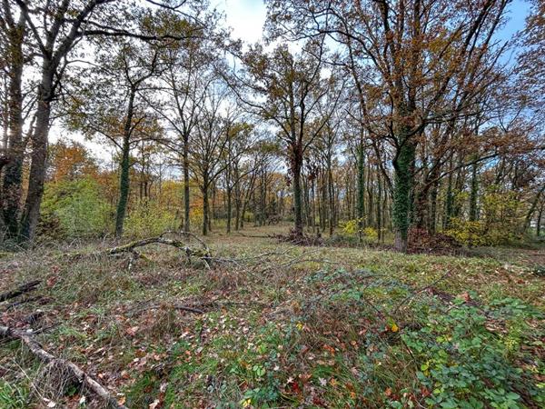 Maison Mery Sur Cher 7 pièces 187 m2