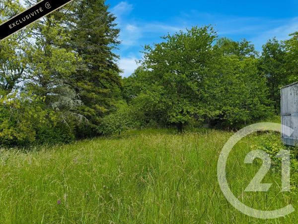 Maison à vendre  1 pièce - 146,67 m 2   SALVIAC  - 46