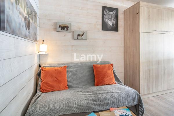 Appartement + casier à skis