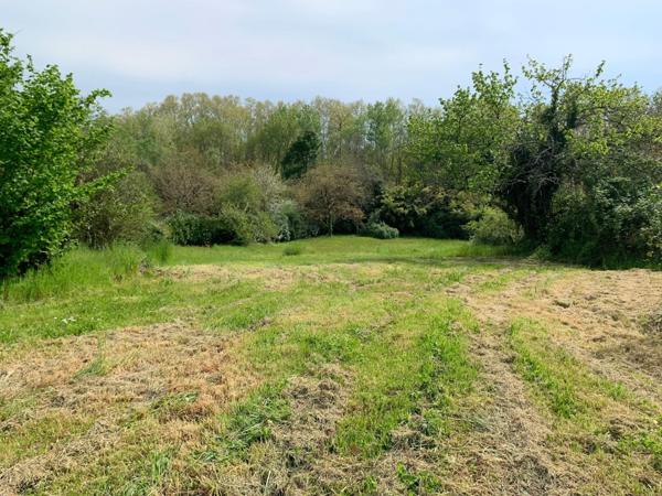 Quartier agréable, proche des commodités, grandes dépendances, jardin